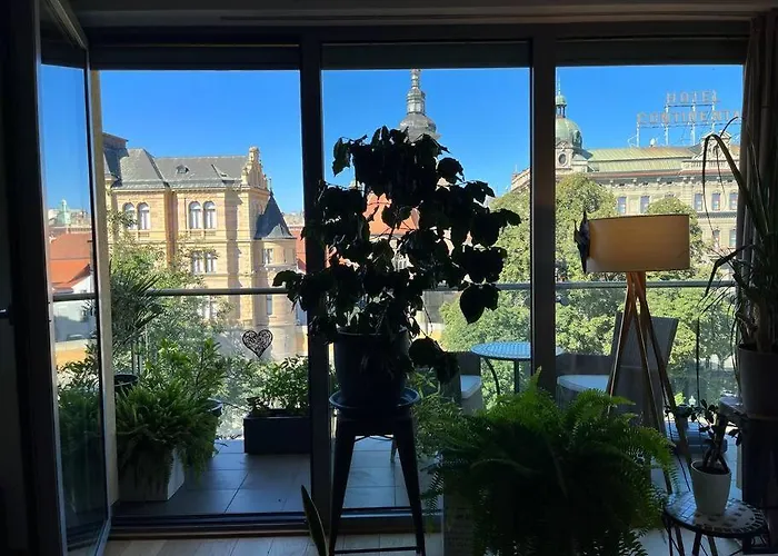 In Historical Center With Park View