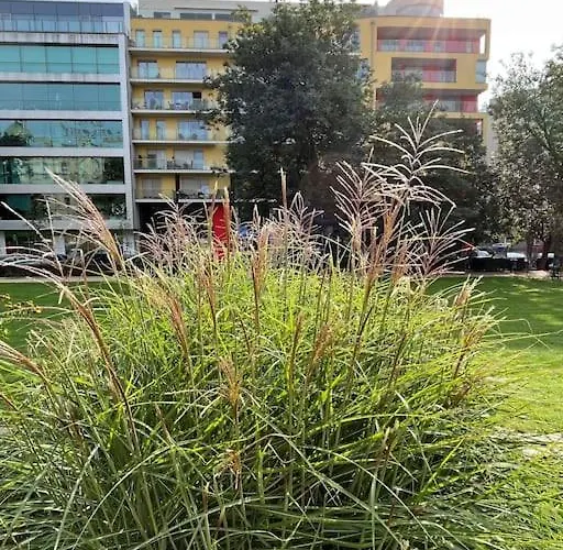 In Historical Center With Park View Apartamento